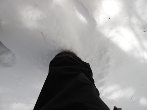 20140211hike (130)